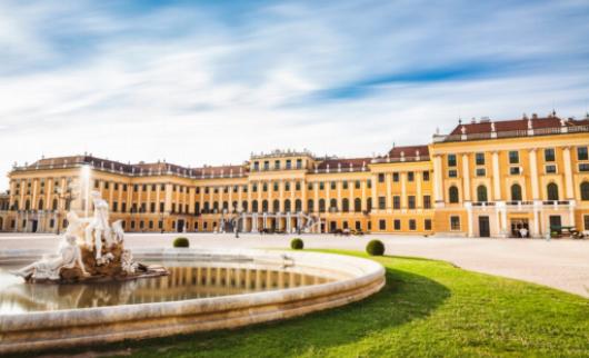 From Market to Table: A Guide to Viennese Fresh Produce Markets