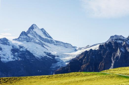 The Alpine Garden: A Closer Look at Switzerland's Mountain Flora