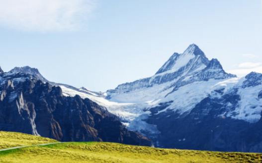 The Flora and Fauna of the Aletsch Region