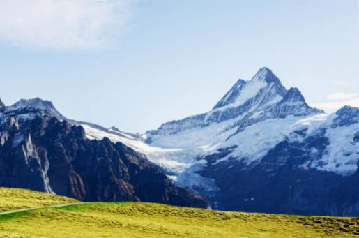 Wildlife Watching Hikes: Encounters with Alpine Fauna