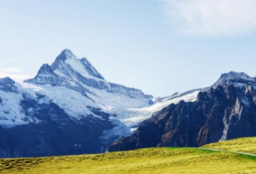 Alpine Botanical Gardens: Preserving the Flora of the Swiss Alps