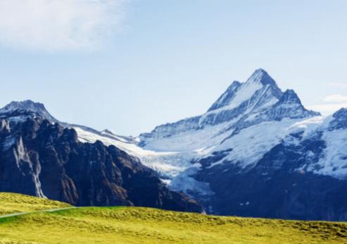 Vineyards at Altitude: Discovering Swiss Alpine Wines